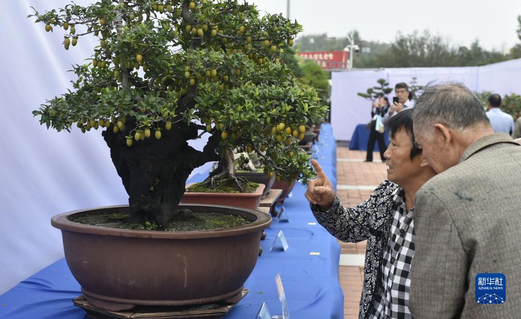 1331银河国际